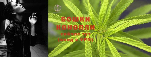 крисы Дмитров