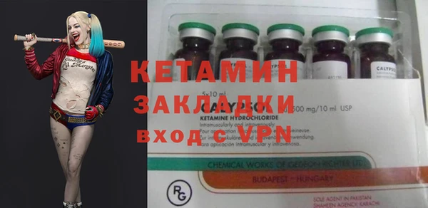 крисы Дмитров