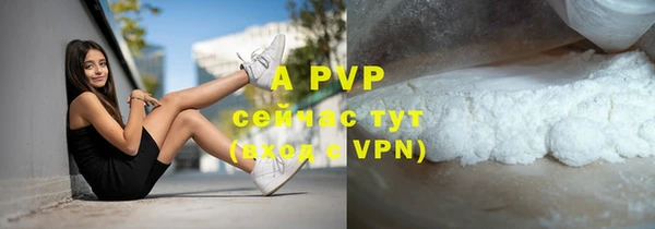 крисы Дмитров