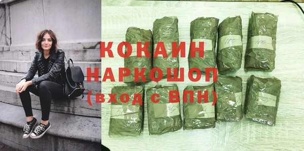 крисы Дмитров