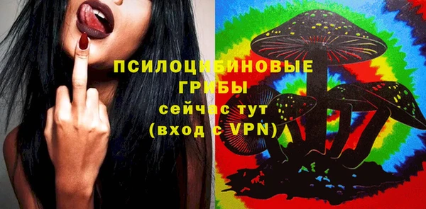 крисы Дмитров