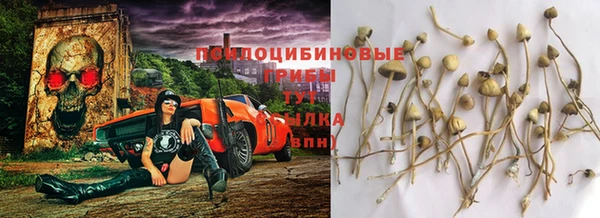 дмт Дмитриев
