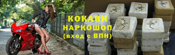 дмт Дмитриев