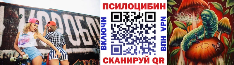 Купить  Изобильный  Псилоцибиновые грибы мухоморы 